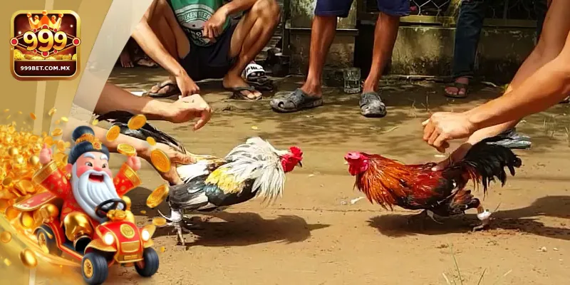 Tổng Hợp Kinh Nghiệm Chơi Đá Gà Tre Cho Tân Thủ Tại 999bet Các bí kíp đá gà tre hiệu quả được chia sẻ từ cao thủ 999bet