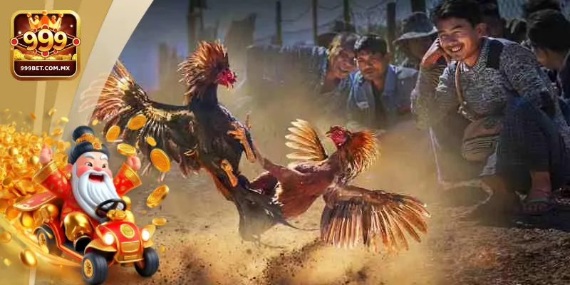 Đá Gà 999bet Luật Chơi Chi Tiết Và Lưu Ý Cho Người Mới Người chơi cần hiểu rõ và tuân thủ luật chơi đá gà 999bet